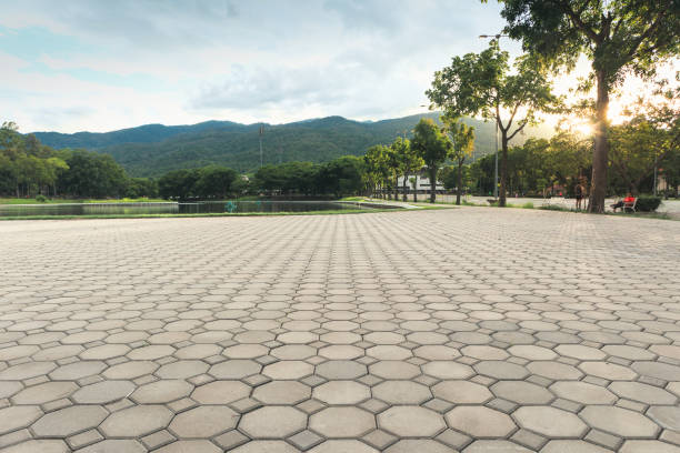 Best Affordable Driveway Pavers  in Hanover Park, IL